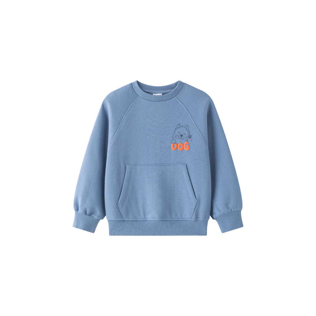 Conjunto niño sudadera + pantalón