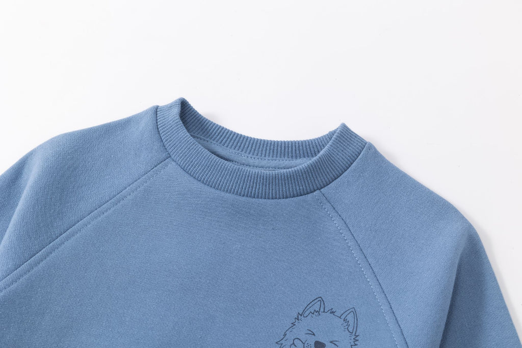 Conjunto niño sudadera + pantalón