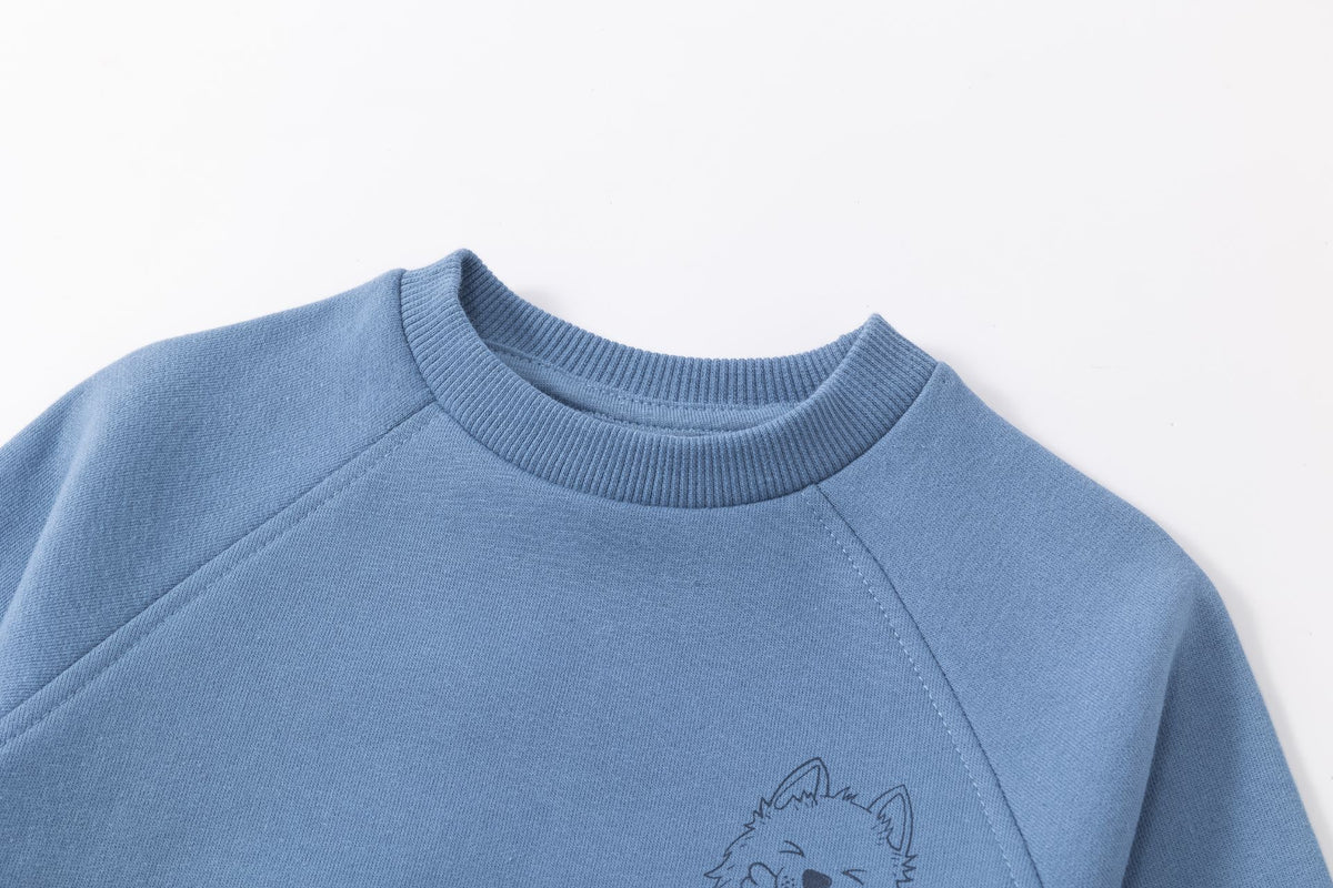 Conjunto niño sudadera + pantalón